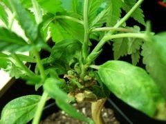 DSCF2157