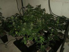 DSCF1356