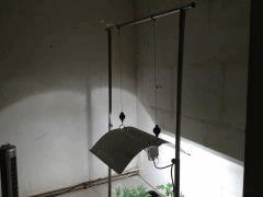 IMG 0804