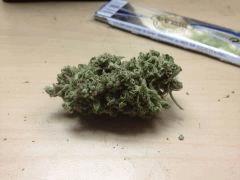 IMG 1399