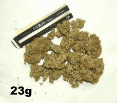 DSCF3095