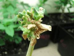 DSCF2172