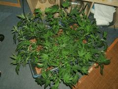 DSCF2755