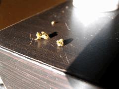 DSCF1770