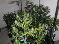 DSCF2035
