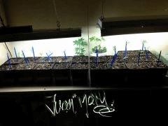 IMG 1095 001