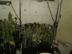 DSCF3172