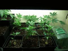 DSCF1802