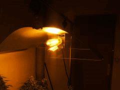 DSCF2443