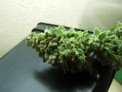DSCF1717