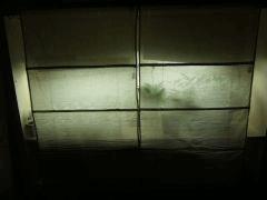 DSCF2032