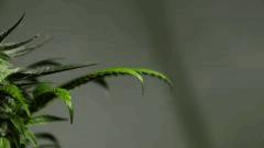 DSC03506