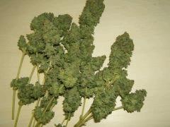 DSCF1764