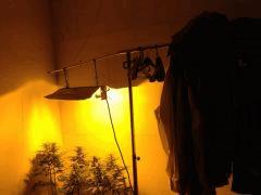 IMG 0344