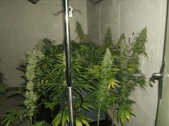 DSCF2863