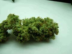 DSCF2249
