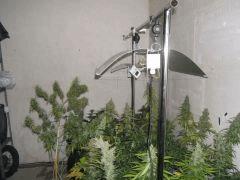 DSCF2778