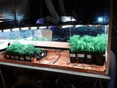 2012 05 18 01.34.14