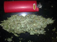 Pure Power Plant