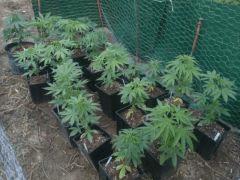 Outdoor 2012