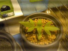 2012-06-01_20-23-14_616_reduced.jpeg
