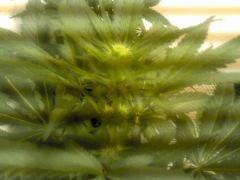 2012 08 01 19 18 08 226