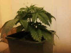 IMG 20120424 210641