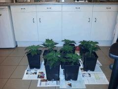 IMG 20120422 210146