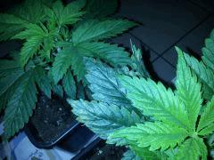 IMG 20120422 210303