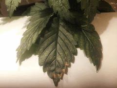 IMG 20120424 210424