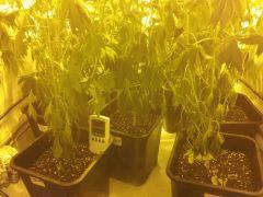 IMG 20120529 193927