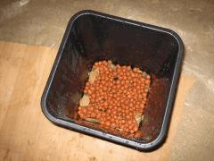 IMG 1411