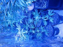 IMG 1588