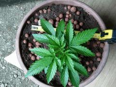 2012 05 31 17.25.59