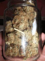 curing Two