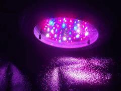 spectra spot