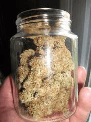 curing One