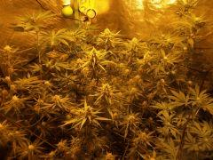 Vie famille Flo 3