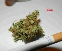 4 ssh1