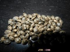 4 jtr x c99