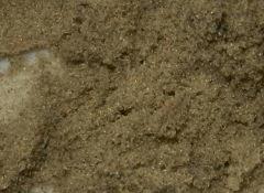3 macro pourrie