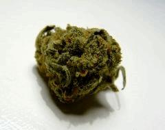 Amnesia Haze   Abraxas   01.01.2013