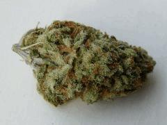 Silver Haze   Abraxas