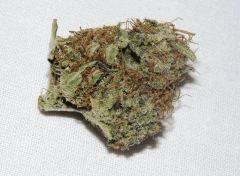 Silver Haze - Rokerij - 08.2010
