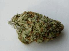 Silver Haze   Abraxas