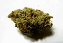 G13 Haze - Barneys Lounge - 01.01.2013
