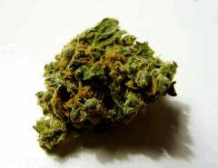 Utopia Haze - Barneys Lounge - 01.01.2013