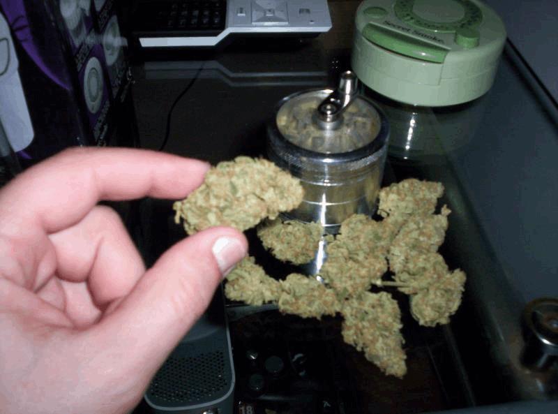 agent orange by subcool