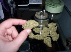 agent curing (5)