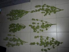 P1070810
